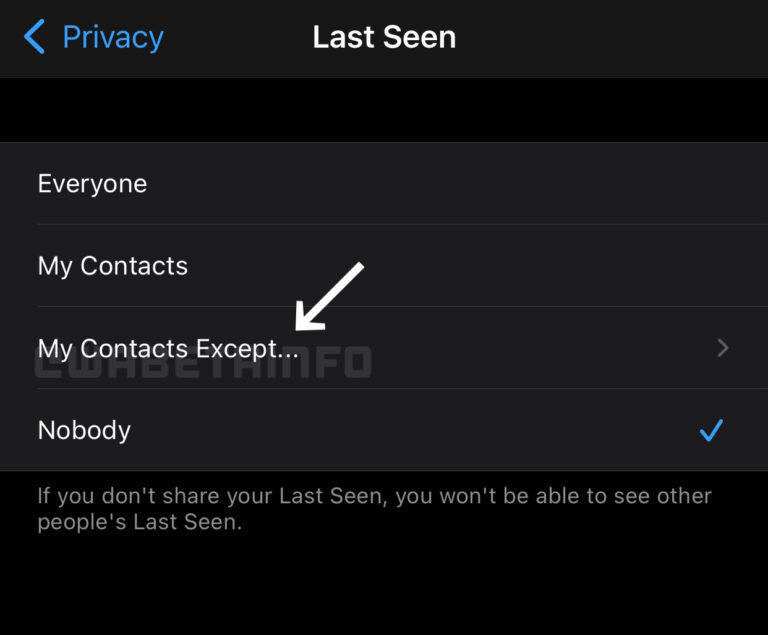 New Privacy Controls in Whatsapp
