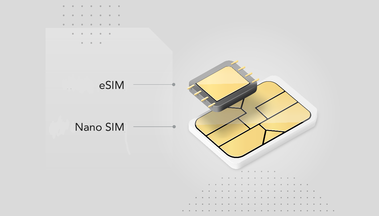 Two Carriers on a Single eSim